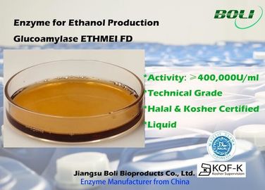 Hoạt tính enzyme cô đặc cao Glucoamylase Ethmei Fd để sản xuất Ethanol