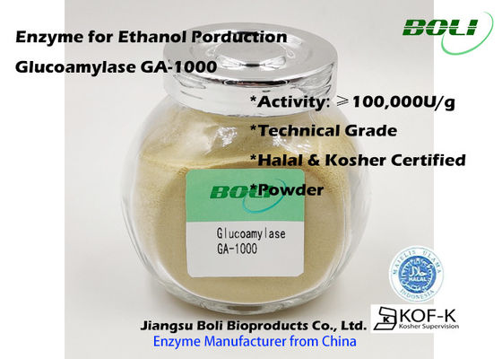 GA-1000 Bột Enzyme công nghiệp Glucoamylase