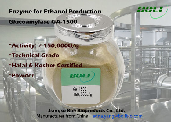 Bột công nghiệp 150000u / G Glucoamylase Enzyme