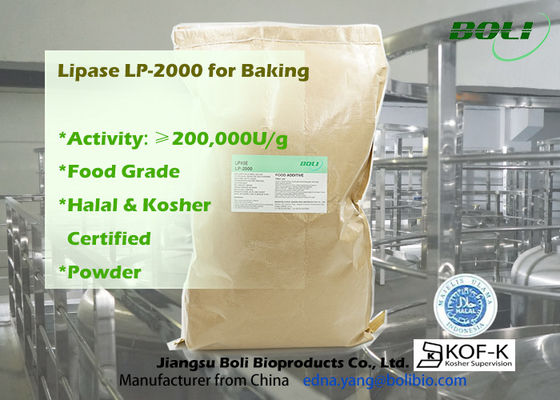 200000u / G Bột Lp-2000 Enzyme Lipase hiệu quả cao để sử dụng thực phẩm trong tiệm bánh