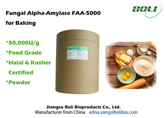 Fungal Alpha-Amylase FAA-5000 để nướng 50.000U / g Alpha Amylase Powder