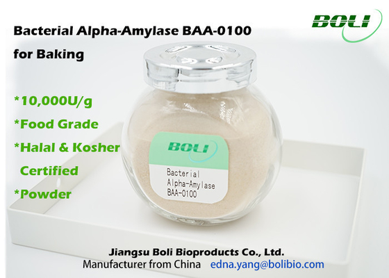 Non-GMO Bacterial Alpha-Amylase BAA-0100 For Bakery Amylase Alpha Powder