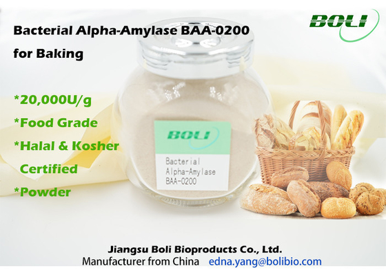 Alpha Amylase vi khuẩn BAA-0200 để nướng 20000U / G trong thực phẩm