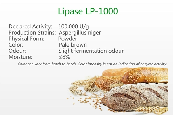 Bột thủy phân Enzyme làm bánh Lipase LP-1000