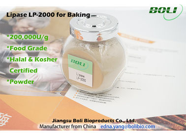 Lipase Solid Powder Baking Enzymes Hiệu quả hoạt động ổn định cao 200000 U / g