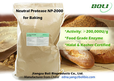 Non-GMO cao tập trung Baking Enzyme bột Halal và Kosher chứng nhận