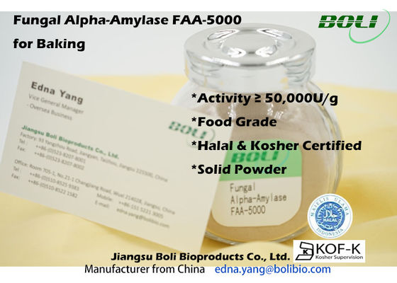 Bột Baking Fungal Alpha Amylase FAA-5000 8% Độ ẩm thực phẩm