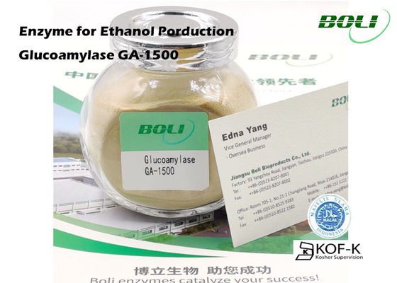 Bột Glucoamylase Enzyme GA-1500 150000 U / G