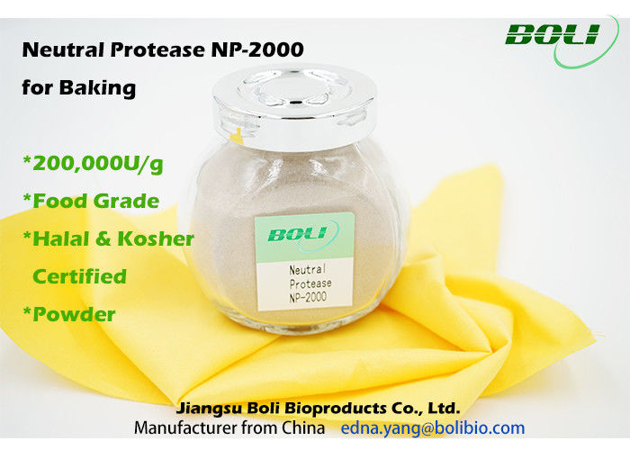 200000 U / g Protease trung tính cho nướng, các enzyme trong thực phẩm trong quá trình ủ không GMO