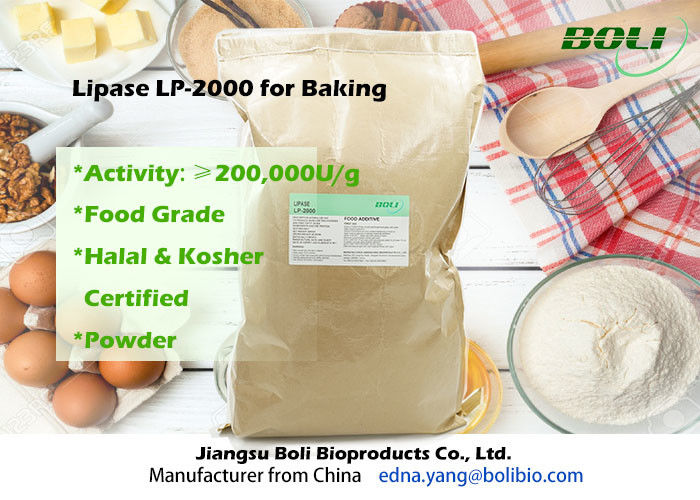 Bột làm từ bột thực phẩm Lipase Enzyme LP-2000 Hiệu quả cao cho bánh Bakery 200000 U / g