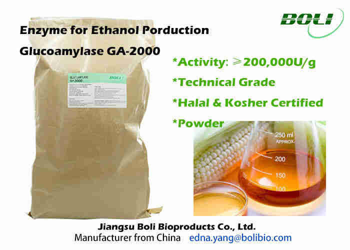 Công nghiệp bột Glucoamylase Enzyme GA - 2000 Hiệu quả lên men nhanh hơn Đối với Ethanol