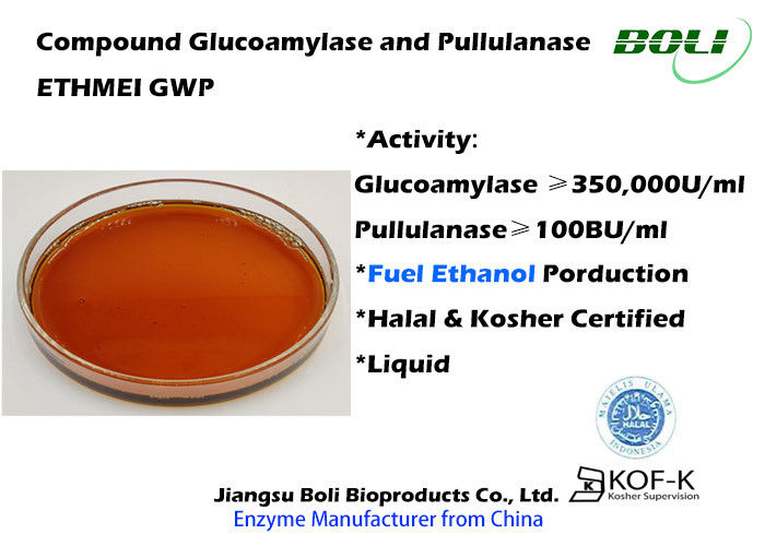 Các enzyme pha trộn Glucoamylase và Pullulanase cho lớp kỹ thuật Ethanol ETHMEI GWP